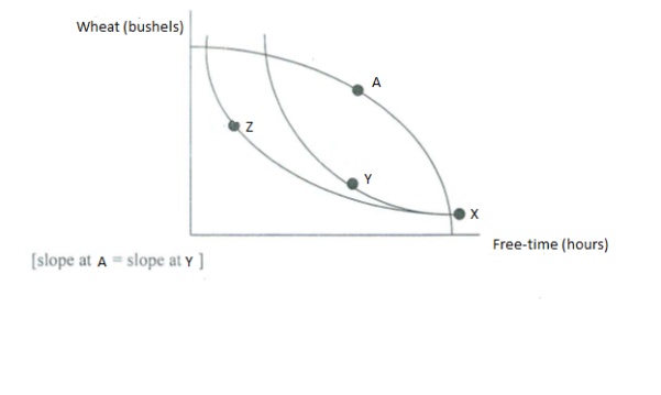 Wheat (bushels)
A
Free-time (hours)
[slope at A = slope at Y ]
