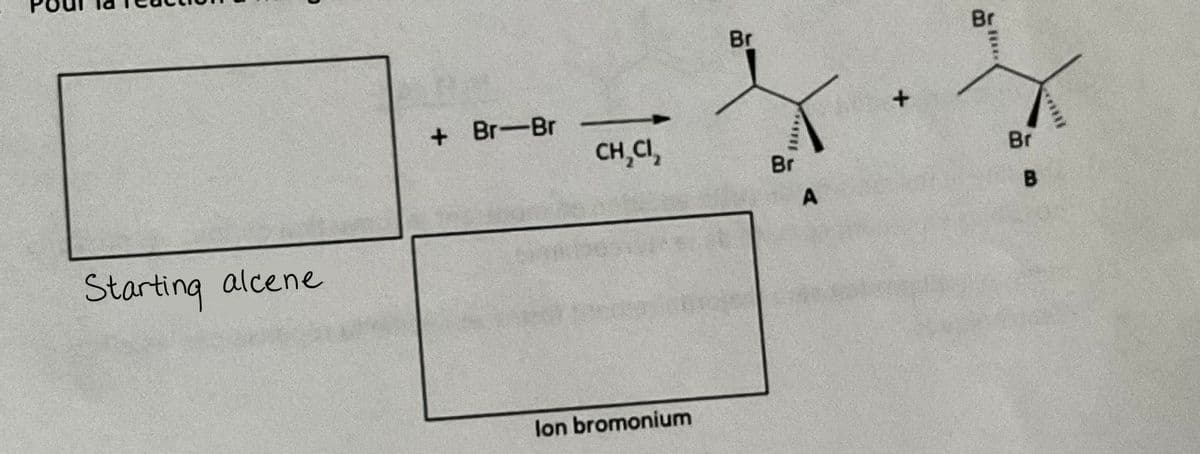 Starting alcene
+ Br-Br
CH₂Cl₂
lon bromonium
Br
******
Br
A
+
Br
*****
Br
B