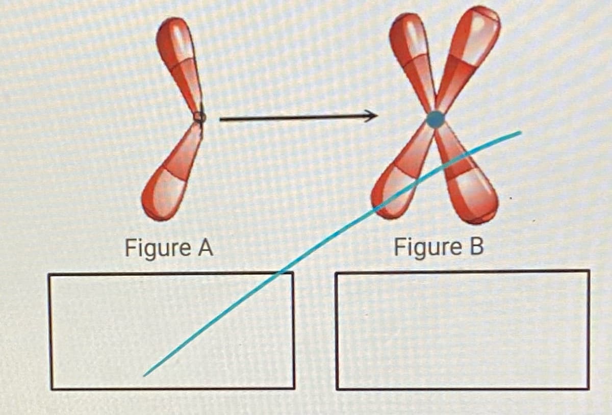 1 - 8
Figure A
Figure B