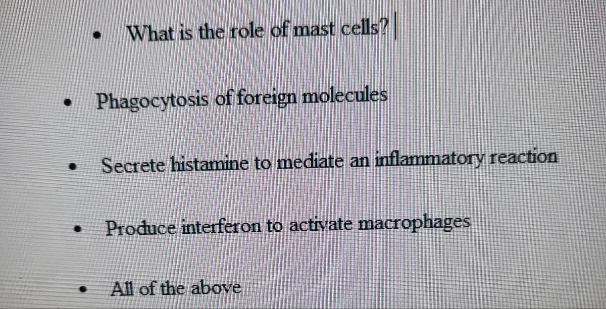 What is the role of mast cells?
Phagocytosis of foreign molecules
Secrete histamine to mediate an inflammatory reaction
Produce interferon to activate macrophages
All of the above