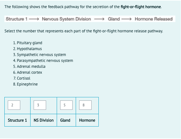 The following shows the feedback pathway for the secretion of the fight-or-flight hormone.
Structure 1 Nervous System Division
Gland
Hormone Released
Select the number that represents each part of the fight-or-flight hormone release pathway.
1. Pituitary gland
2. Hypothalamus
3. Sympathetic nervous system
4. Parasympathetic nervous system
5. Adrenal medulla
6. Adrenal cortex
7. Cortisol
8. Epinephrine
3
Structure 1
NS Division
Gland
Hormone
2.
