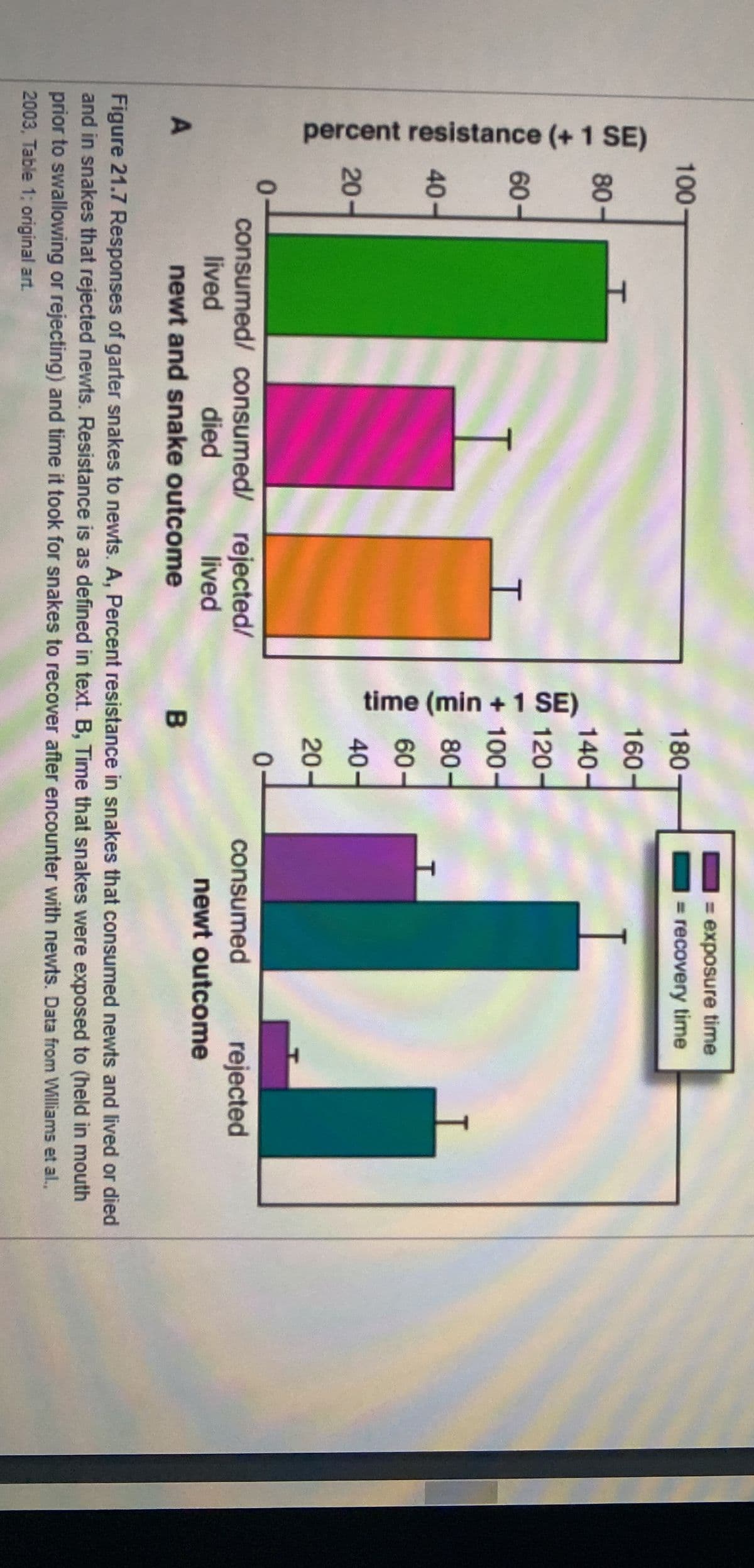 percent resistance (+ 1 SE)
time (min + 1 SE)
= exposure time
100
180
= recovery time
160-
80-
140-
120-
60
+
100-
80-
40
-
60-
40-
20
20-
consumed/ consumed/ rejected/
died
consumed
rejected
lived
lived
newt outcome
newt and snake outcome
Figure 21.7 Responses of garter snakes to newts. A, Percent resistance in snakes that consumed newts and lived or died
and in snakes that rejected newts. Resistance is as defined in text. B, Time that snakes were exposed to (held in mouth
prior to swallowing or rejecting) and time it took for snakes to recover after encounter with newts. Data from Williams et al.,
2003, Table 1; original art.
