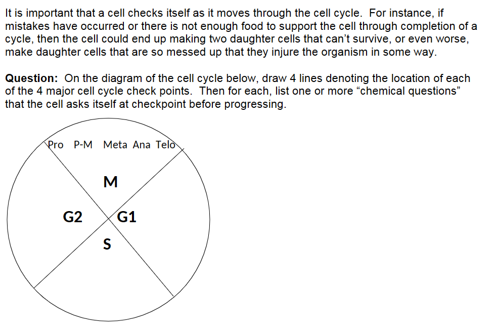 It is important that a cell checks itself as it moves through the cell cycle. For instance, if
mistakes have occurred or there is not enough food to support the cell through completion of a
cycle, then the cell could end up making two daughter cells that can't survive, or even worse,
make daughter cells that are so messed up that they injure the organism in some way.
Question: On the diagram of the cell cycle below, draw 4 lines denoting the location of each
of the 4 major cell cycle check points. Then for each, list one or more "chemical questions"
that the cell asks itself at checkpoint before progressing.
Pro P-M Meta Ana Telo
G2
M
S
G1