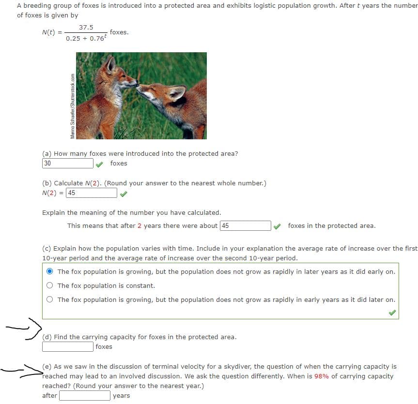 A breeding group of foxes is introduced into a protected area and exhibits logistic population growth. After t years the number
of foxes is given by
37.5
N(t)
foxes.
0.25 + 0.76*
(a) How many foxes were introduced into the protected area?
30
foxes
(b) Calculate N(2). (Round your answer to the nearest whole number.)
N(2) = 45
%3D
Explain the meaning of the number you have calculated.
This means that after 2 years there were about 45
foxes in the protected area.
(c) Explain how the population varies with time. Include in your explanation the average rate of increase over the first
10-year period and the average rate of increase over the second 10-year period.
The fox population is growing, but the population does not grow as rapidly in later years as it did early on.
The fox population is constant.
O The fox population is growing, but the population does not grow as rapidly in early years as it did later on.
(d) Find the carrying capacity for foxes in the protected area.
foxes
(e) As we saw in the discussion of terminal velocity for a skydiver, the question of when the carrying capacity is
Preached may lead to an involved discussion. We ask the question differently. When is 98% of carrying capacity
reached? (Round your answer to the nearest year.)
after
years
Menno Schaefer/Shut terstock.com
