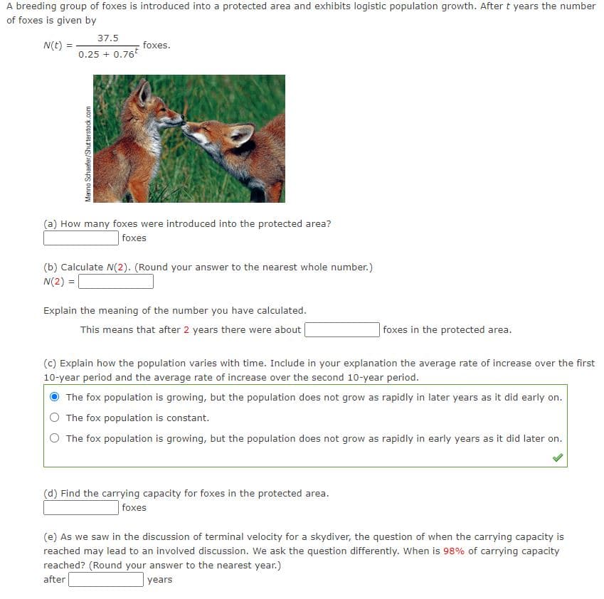 A breeding group of foxes is introduced into a protected area and exhibits logistic population growth. After t years the number
of foxes is given by
37.5
N(t)
foxes.
0.25 + 0.76
(a) How many foxes were introduced into the protected area?
foxes
(b) Calculate N(2). (Round your answer to the nearest whole number.)
N(2)
Explain the meaning of the number you have calculated.
This means that after 2 years there were about
foxes in the protected area.
(c) Explain how the population varies with time. Include in your explanation the average rate of increase over the first
10-year period and the average rate of increase over the second 10-year period.
The fox population is growing, but the population does not grow as rapidly in later years as it did early on.
The fox population is constant.
O The fox population is growing, but the population does not grow as rapidly in early years as it did later on.
(d) Find the carrying capacity for foxes in the protected area.
foxes
(e) As we saw in the discussion of terminal velocity for a skydiver, the question of when the carrying capacity is
reached may lead to an involved discussion. We ask the question differently. When is 98% of carrying capacity
reached? (Round your answer to the nearest year.)
after
|years
Menno Schaefer/Shut terstock.com
