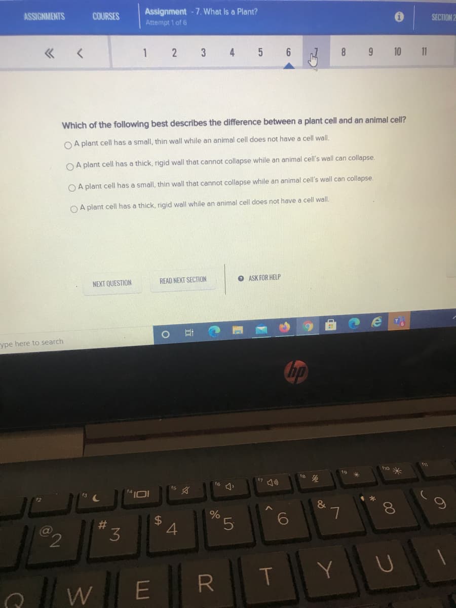 ASSIGNMENTS
COURSES
Assignment - 7. What Is a Plant?
Attempt 1 of 6
SECTION 2
2
4
9 10 11
8.
Which of the following best describes the difference between a plant cell and an animal cell?
OA plant cell has a small, thin wall while an animal cell does not have a cell wall.
OA plant cell has a thick, rigid wall that cannot collapse while an animal cell's wall can collapse.
OA plant cell has a small, thin wall that cannot collapse while an animal cell's wall can collapse.
O A plant cell has a thick, rigid wall while an animal cell does not have a cell wall.
NEXT QUESTION
READ NEXT SECTION
O ASK FOR HELP
ype here to search
bp
19
18
f6
文
&
L.
8.
%
#3
4
5.
Y
W
E
%24
