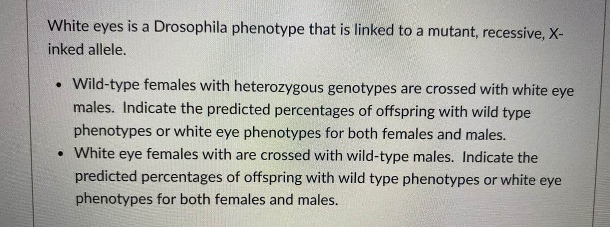 White eyes is a Drosophila phenotype that is linked to a mutant, recessive, X-
inked allele.
Wild-type females with heterozygous genotypes are crossed with white eye
males. Indicate the predicted percentages of offspring with wild type
phenotypes or white eye phenotypes for both females and males.
• White eye females with are crossed with wild-type males. Indicate the
predicted percentages of offspring with wild type phenotypes or white eye
phenotypes for both females and males.
