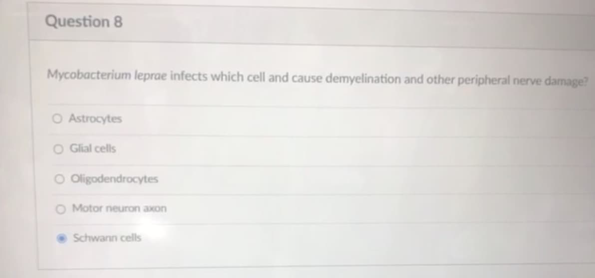 Question 8
Mycobacterium leprae infects which cell and cause demyelination and other peripheral nerve damage?
O Astrocytes
O Glial cells
O Oligodendrocytes
O Motor neuron axon
• Schwann cells
