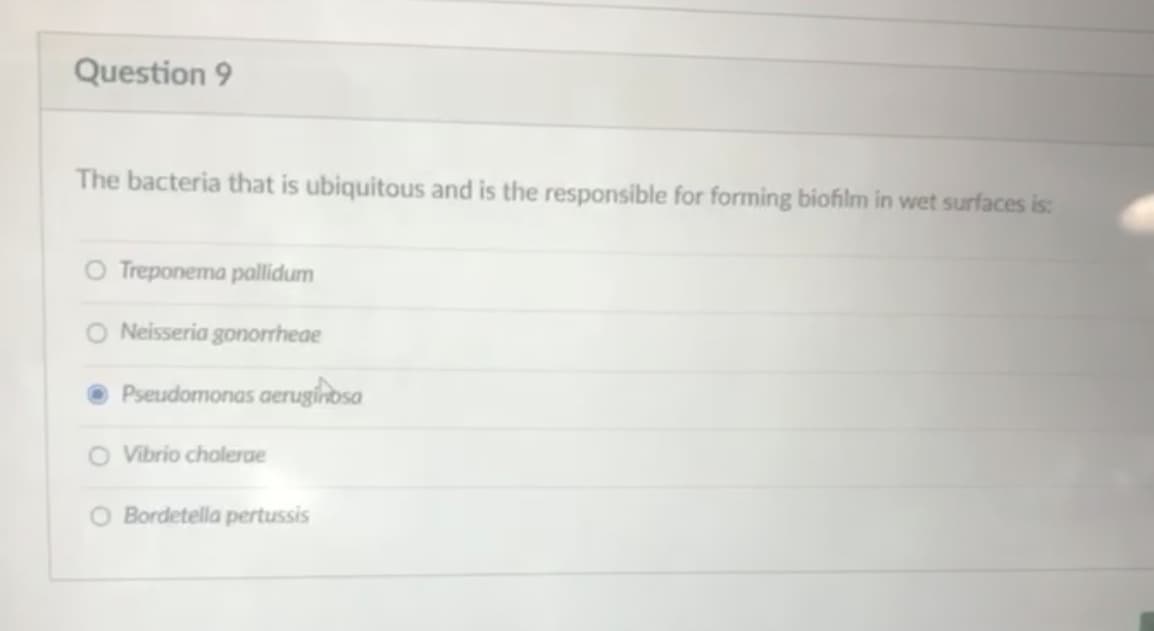 Question 9
The bacteria that is ubiquitous and is the responsible for forming biofilm in wet surfaces is:
O Treponema pallidum
O Neisseria gonorrheae
O Pseudomonas aeruginosa
O Vibrio cholerae
O Bordetella pertussis
