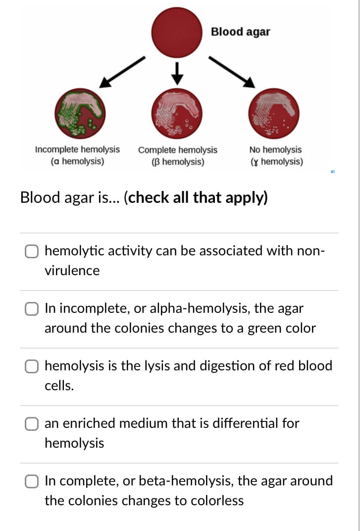 Blood agar
Incomplete hemolysis
(a hemolysis)
Complete hemolysis
(B hemolysis)
No hemolysis
(y hemolysis)
Blood agar is... (check all that apply)
hemolytic activity can be associated with non-
virulence
O In incomplete, or alpha-hemolysis, the agar
around the colonies changes to a green color
hemolysis is the lysis and digestion of red blood
cells.
an enriched medium that is differential for
hemolysis
In complete, or beta-hemolysis, the agar around
the colonies changes to colorless
