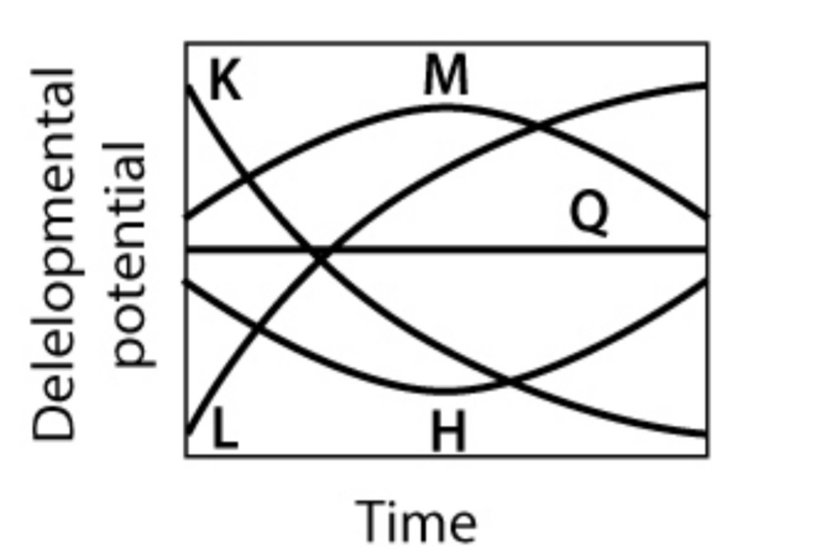 Q
H.
Time
Delelopmental
potential
