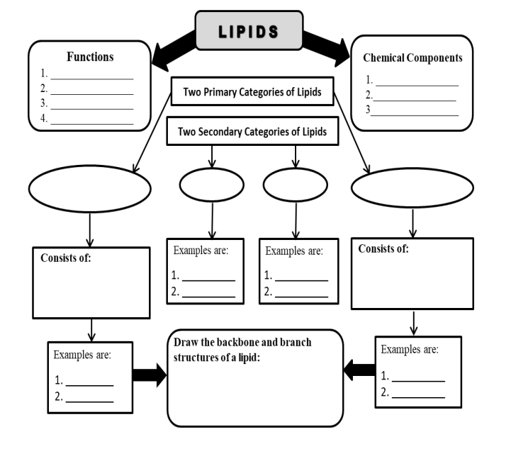 LIPIDS
Functions
Chemical Components
1.
1.
2.
Two Primary Categories of Lipids
2.
3.
3
4.
Two Secondary Categories of Lipids
Examples are:
Examples are:
Consists of:
Consists of:
|1.
|1.
2.
2.
Draw the backbone and branch
| Examples are:
Examples are:
structures of a lipid:
1.
1.
2.
2.
