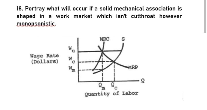 18. Portray what will occur if a solid mechanical association is
shaped in a work market which isn't cutthroat however
monopsonistic.
MRC
S
W..
Wage Rate
(Dollars)
W
MRP
Quantity of Labor
