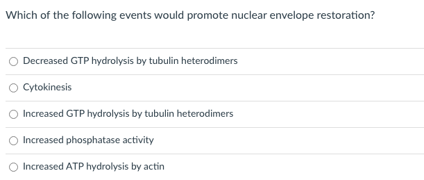 Which of the following events would promote nuclear envelope restoration?
Decreased GTP hydrolysis by tubulin heterodimers
O Cytokinesis
Increased GTP hydrolysis by tubulin heterodimers
Increased phosphatase activity
Increased ATP hydrolysis by actin
