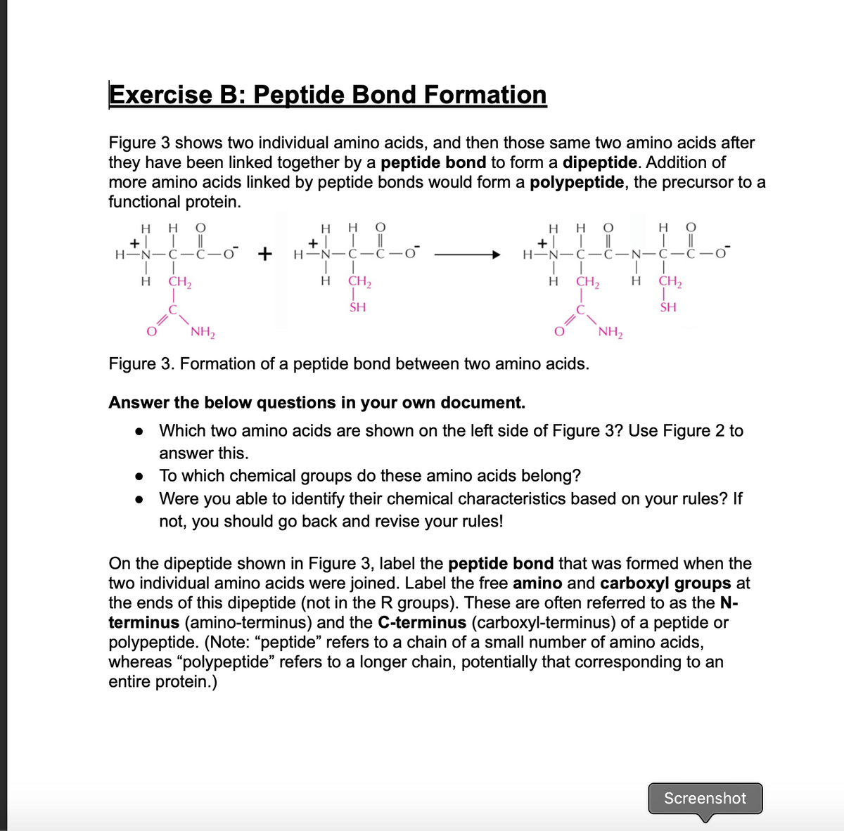 Exercise B: Peptide Bond Formation
Figure 3 shows two individual amino acids, and then those same two amino acids after
they have been linked together by a peptide bond to form a dipeptide. Addition of
more amino acids linked by peptide bonds would form a polypeptide, the precursor to a
functional protein.
нн
H
H O
нно
H O
+| | ||
H-N-C-ċ-o +
+| 1 ||
H-N-C-C
+| | ||
Н-N—С- С—N—C—С
H
CH2
H
CH2
H
CH2
CH2
SH
SH
NH2
NH2
Figure 3. Formation of a peptide bond between two amino acids.
Answer the below questions in your own document.
• Which two amino acids are shown on the left side of Figure 3? Use Figure 2 to
answer this.
• To which chemical groups do these amino acids belong?
Were you able to identify their chemical characteristics based on your rules? If
not, you should go back and revise your rules!
On the dipeptide shown in Figure 3, label the peptide bond that was formed when the
two individual amino acids were joined. Label the free amino and carboxyl groups at
the ends of this dipeptide (not in the R groups). These are often referred to as the N-
terminus (amino-terminus) and the C-terminus (carboxyl-terminus) of a peptide or
polypeptide. (Note: "peptide" refers to a chain of a small number of amino acids,
whereas "polypeptide" refers to a longer chain, potentially that corresponding to an
entire protein.)
Screenshot
