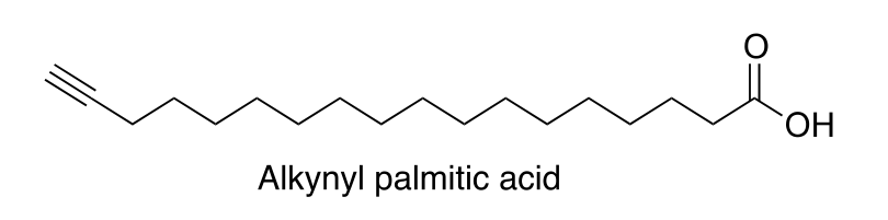HO
Alkynyl palmitic acid
