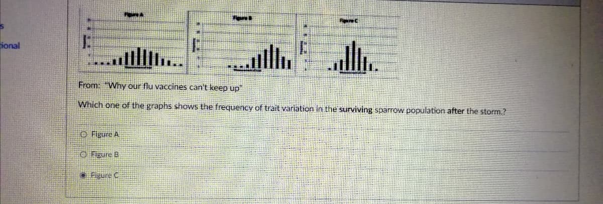 Fere
ional
****
From: "Why our flu vaccines can't keep up"
Which one of the graphs shows the frequency of trait variation in the surviving sparrow population after the storm.?
O Figure A
O Figure B
• Figure C
