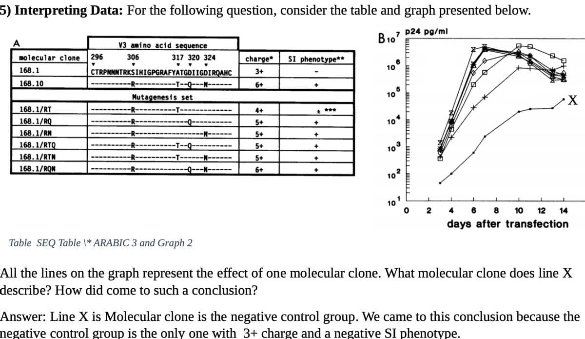 5) Interpreting Data: For the following question, consider the table and graph presented below.
A
V3 amino acid sequence
B10?
7 p24 pg/ml
molecular clone
296
306
317 320 324
只日
charge*
SI phenotype**
168.1
CTRPNNNTRKSIHIGPGRAFYATGDIIGDIRQAHC
3+
168.10
---T--Q---N-
6+
Mutagenesis set
5
10
168.1/RT
--T----
4+
***
168.1/RQ
-R-
5+
104
168.1/RN
-N-
5+
+
168.1/RTQ
-T--Q-
-T--
5+
+
168.1/RTN
168.1/RQN
-R
103
----
5+
-R-
-Q---N------
6+
102
101
4 6
8
10
12
14
days after transfection
Table SEQ Table \* ARABIC 3 and Graph 2
All the lines on the graph represent the effect of one molecular clone. What molecular clone does line X
describe? How did come to such a conclusion?
Answer: Line X is Molecular clone is the negative control group. We came to this conclusion because the
negative control group is the only one with 3+ charge and a negative SI phenotype.
