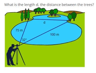 What is the length d, the distance between the trees?
75 m
100 m
32
