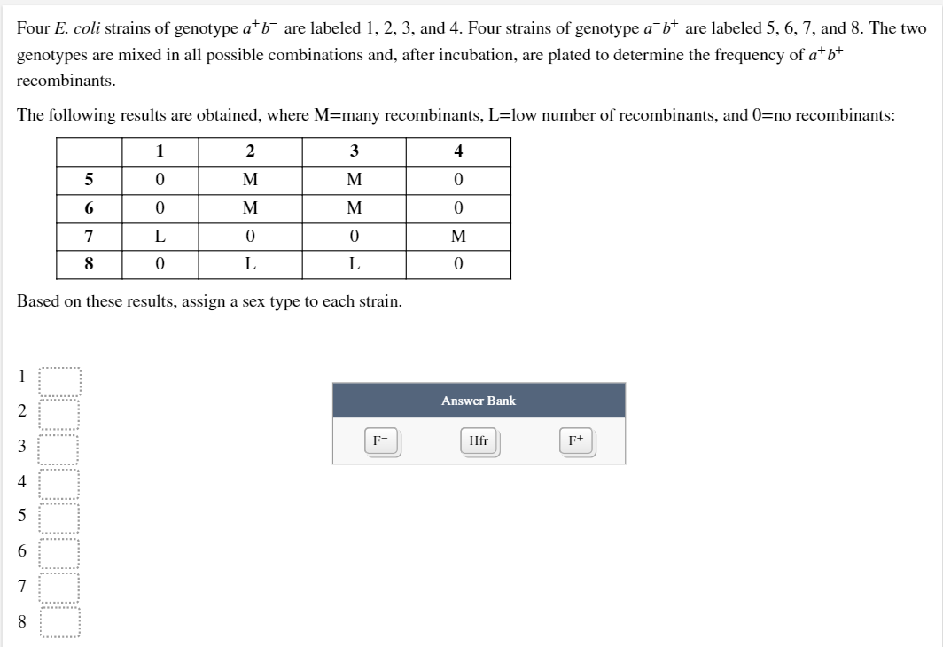 Four E. coli strains of genotype atb¯ are labeled 1, 2, 3, and 4. Four strains of genotype a¯b* are labeled 5, 6, 7, and 8. The two
genotypes are mixed in all possible combinations and, after incubation, are plated to determine the frequency of a*b+
recombinants.
The following results are obtained, where M=many recombinants, L=low number of recombinants, and 0=no recombinants:
1
3
4
M
M
6.
M
M
L
M
8
L
L
Based on these results, assign a sex type to each strain.
Answer Bank
2
F-
Hfr
F+
3
4
