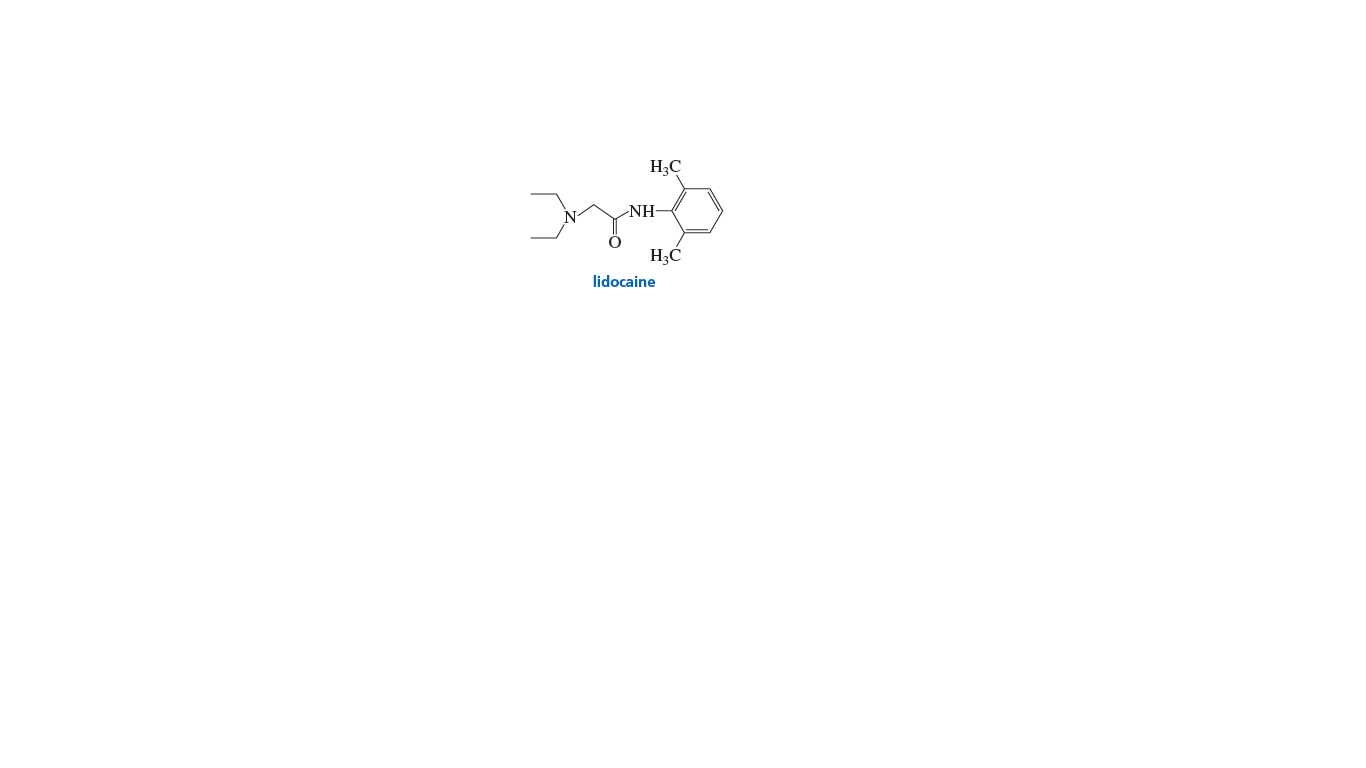 H3C
NH-
lidocaine
