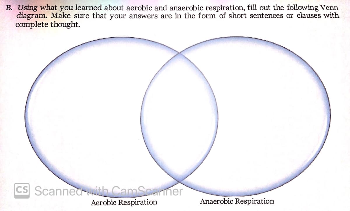 B. Using what you learned about aerobic and anaerobic respiration, fill out the following Venn
diagram. Make sure that your answers are in the form of short sentences or clauses with
complete thought.
CS Scanned th CamScarner
Aerobic Respiration
Anaerobic Respiration
