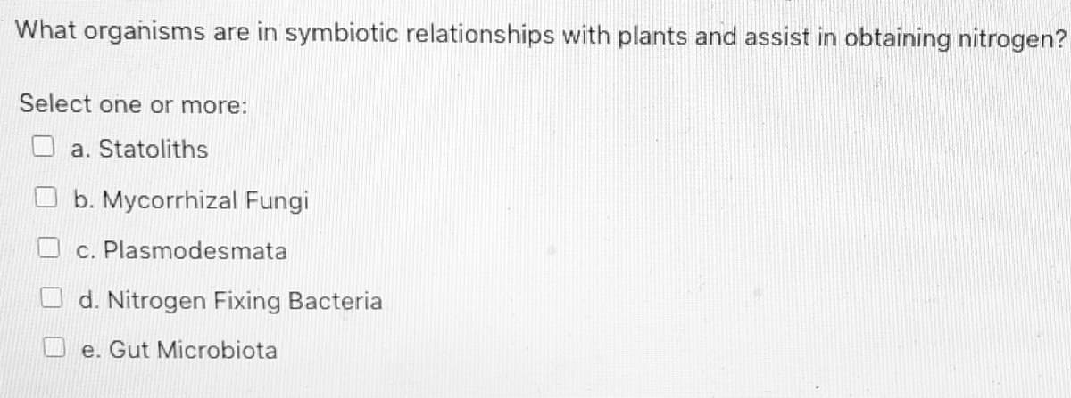 What organisms are in symbiotic relationships with plants and assist in obtaining nitrogen?
Select one or more:
O a. Statoliths
b. Mycorrhizal Fungi
c. Plasmodesmata
d. Nitrogen Fixing Bacteria
e. Gut Microbiota
