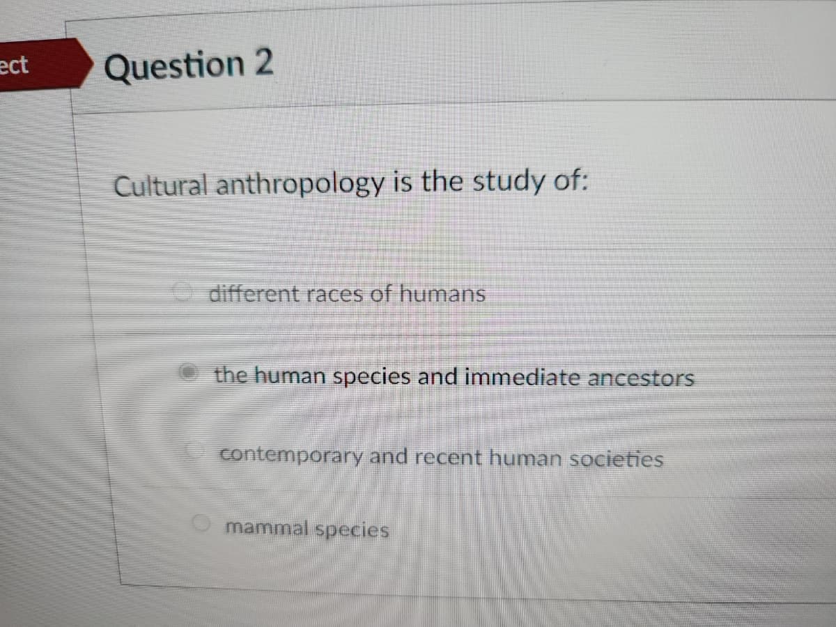 ect
Question 2
Cultural anthropology is the study of:
different races of humans
the human species and immediate ancestors
contemporary and recent human societies
mammal species