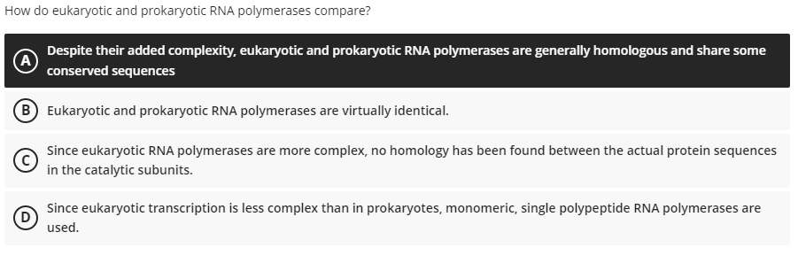 How do eukaryotic and prokaryotic RNA polymerases compare?
Despite their added complexity, eukaryotic and prokaryotic RNA polymerases are generally homologous and share some
A
conserved sequences
B Eukaryotic and prokaryotic RNA polymerases are virtually identical.
Since eukaryotic RNA polymerases are more complex, no homology has been found between the actual protein sequences
in the catalytic subunits.
Since eukaryotic transcription is less complex than in prokaryotes, monomeric, single polypeptide RNA polymerases are
used.
