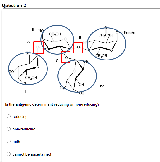 Question 2
II
но
Protein
CH2OH
CH;ČNH
II
HO
CH2OH
Но
CH,OH
OH
OH
IV
Is the antigenic determinant reducing or non-reducing?
reducing
non-reducing
both
cannot be ascertained
