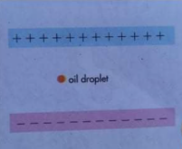 ++++++++++++
oil droplet
