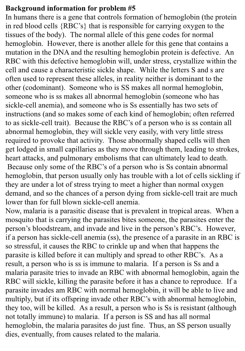 Background information for problem #5
In humans there is a gene that controls formation of hemoglobin (the protein
in red blood cells {RBC's} that is responsible for carrying oxygen to the
tissues of the body). The normal allele of this gene codes for normal
hemoglobin. However, there is another allele for this gene that contains a
mutation in the DNA and the resulting hemoglobin protein is defective. An
RBC with this defective hemoglobin will, under stress, crystallize within the
cell and cause a characteristic sickle shape. While the letters S and s are
often used to represent these alleles, in reality neither is dominant to the
other (codominant). Someone who is SS makes all normal hemoglobin,
someone who is ss makes all abnormal hemoglobin (someone who has
sickle-cell anemia), and someone who is Ss essentially has two sets of
instructions (and so makes some of each kind of hemoglobin; often referred
to as sickle-cell trait). Because the RBC's of a person who is ss contain all
abnormal hemoglobin, they will sickle very easily, with very little stress
required to provoke that activity. Those abnormally shaped cells will then
get lodged in small capillaries as they move through them, leading to strokes,
heart attacks, and pulmonary embolisms that can ultimately lead to death.
Because only some of the RBC's of a person who is Ss contain abnormal
hemoglobin, that person usually only has trouble with a lot of cells sickling if
they are under a lot of stress trying to meet a higher than normal oxygen
demand, and so the chances of a person dying from sickle-cell trait are much
lower than for full blown sickle-cell anemia.
Now, malaria is a parasitic disease that is prevalent in tropical areas. When a
mosquito that is carrying the parasites bites someone, the parasites enter the
person's bloodstream, and invade and live in the person's RBC's. However,
if a person has sickle-cell anemia (ss), the presence of a parasite in an RBC is
so stressful, it causes the RBC to crinkle up and when that happens the
parasite is killed before it can multiply and spread to other RBC's. As a
result, a person who is ss is immune to malaria. If a person is Ss and a
malaria parasite tries to invade an RBC with abnormal hemoglobin, again the
RBC will sickle, killing the parasite before it has a chance to reproduce. If a
parasite invades am RBC with normal hemoglobin, it will be able to live and
multiply, but if its offspring invade other RBC's with abnormal hemoglobin,
they too, will be killed. As a result, a person who is Ss is resistant (although
not totally immune) to malaria. If a person is SS and has all normal
hemoglobin, the malaria parasites do just fine. Thus, an SS person usually
dies, eventually, from causes related to the malaria.
