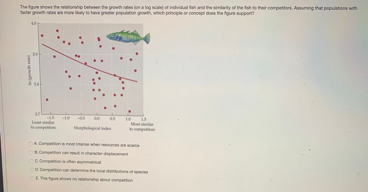 The figure shows the relationship between the growth rates (on a log scale) of individual fish and the similarity of the fish to their competitors. Assuming that populations with
faster growth rates are more likely to have greater population growth, which principle or concept does the figure support?
4.0
3.9
드 3.8
3.7
-1.5
Least similar
-1.0
-0.5
0.0
0.5
1.0
1.5
Most similar
to competitors
Morphological index
to competitors
O A. Competition is most intense when resources are scarce
B. Competition can result in character displacement
C. Competition is often asymmetrical
D. Competition can determine the local distributions of species
E. This figure shows no relationship about competition
In (growth rate)
