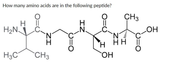 How many amino acids are in the following peptide?
H₂N
ZI
H3C CH3
IZ
H
OH
CH3
HH
LOH