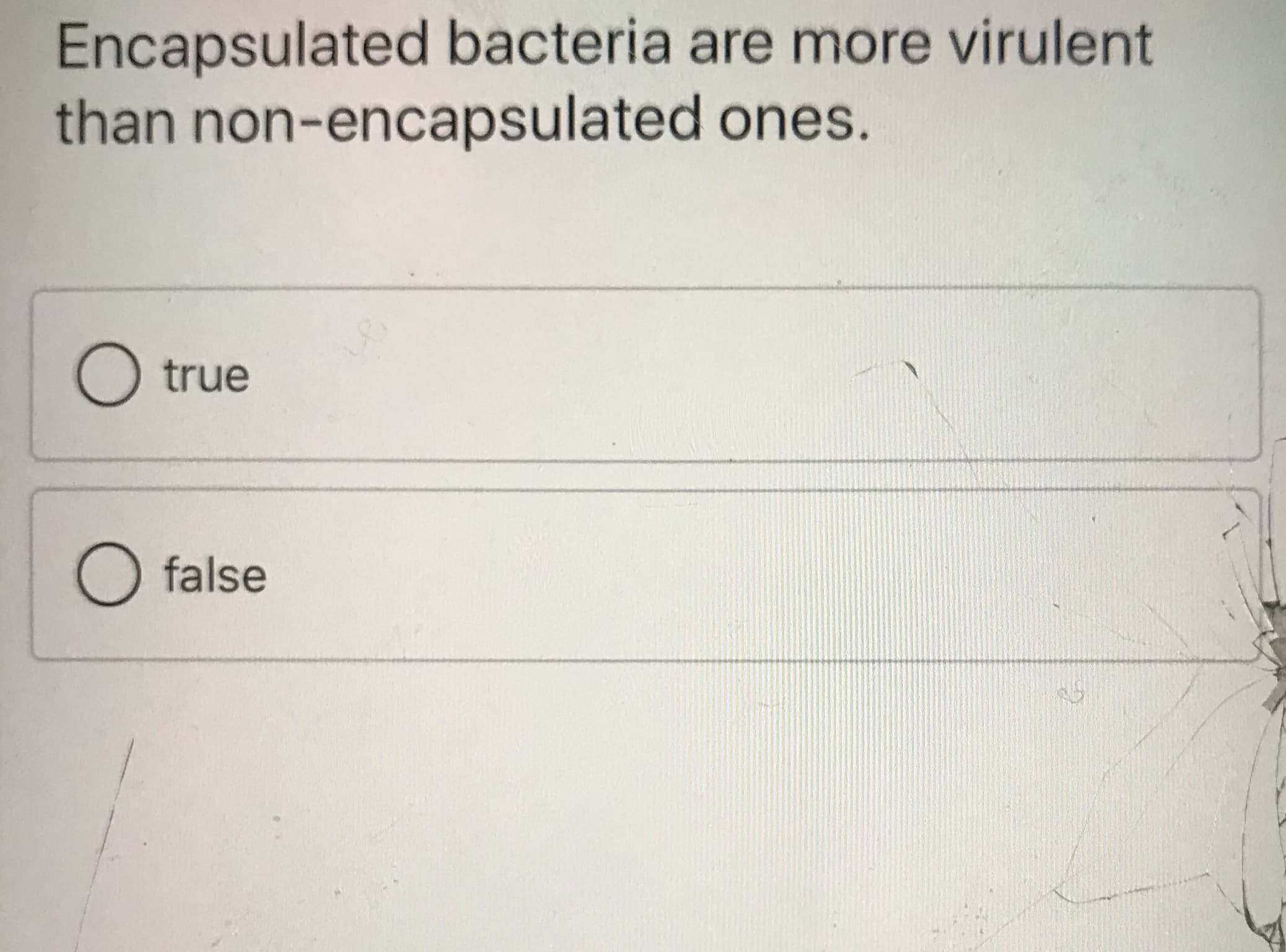 Encapsulated bacteria are more virulent
than non-encapsulated ones.
true
O false
