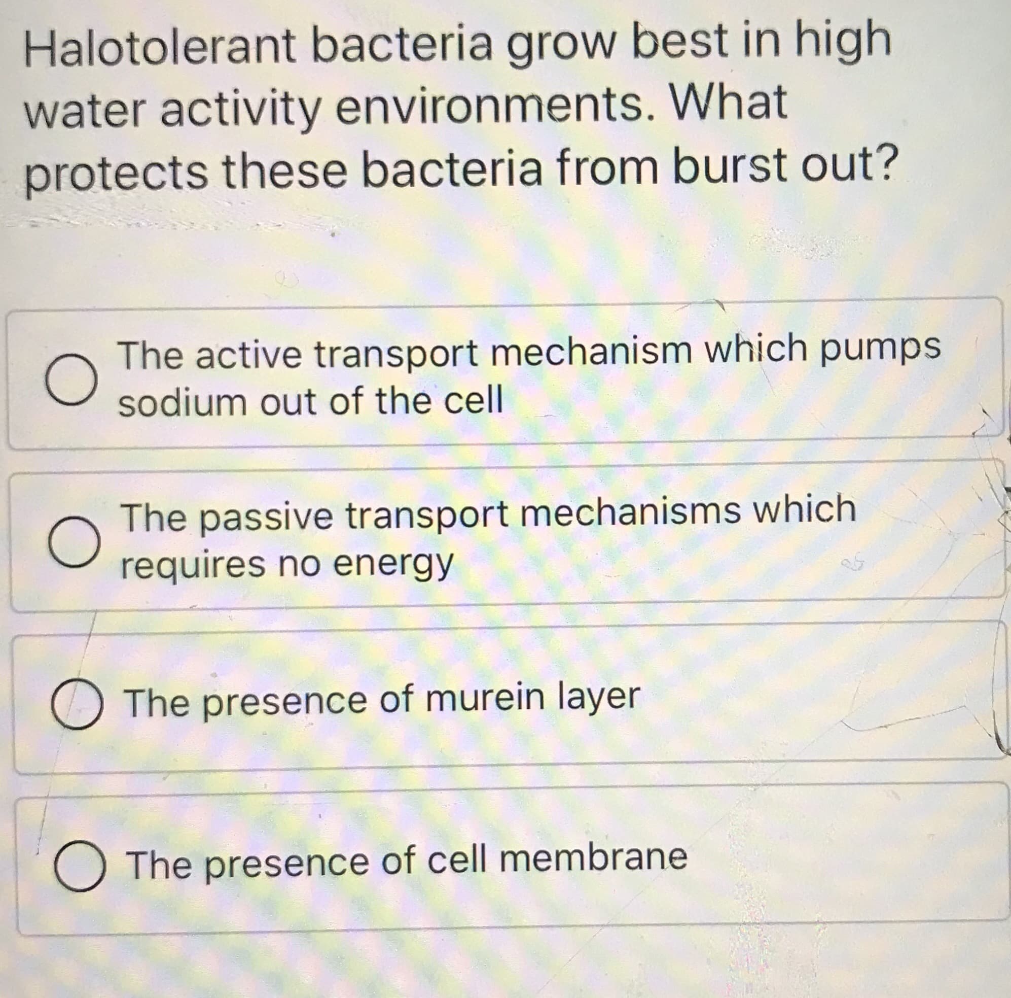 Halotolerant bacteria grow best in high
water activity environments. What
protects these bacteria from burst out?
The active transport mechanism which pumps
sodium out of the cell
The passive transport mechanisms which
requires no energy
O The presence of murein layer
