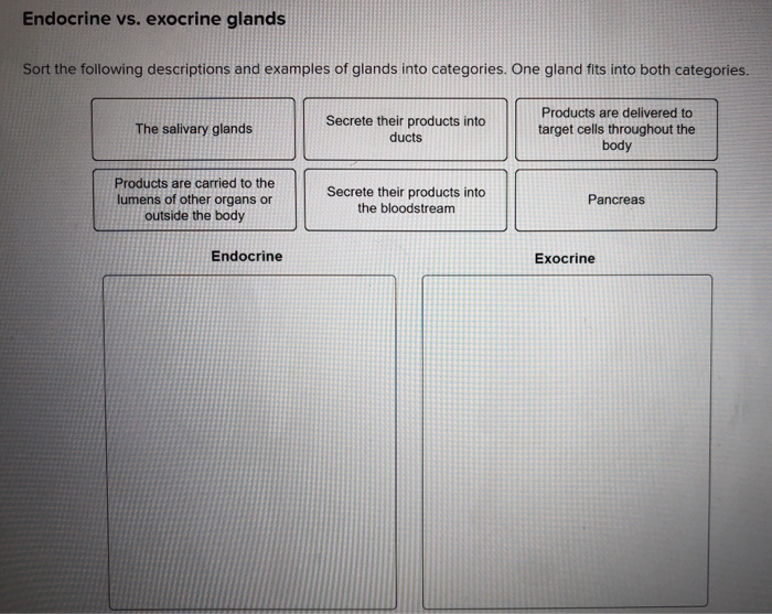 Endocrine vs. exocrine glands
Sort the following descriptions and examples of glands into categories. One gland fits into both categories.
The salivary glands
Products are carried to the
lumens of other organs or
outside the body
Endocrine
Secrete their products into
ducts
Secrete their products into
the bloodstream
Products are delivered to
target cells throughout the
body
Pancreas
Exocrine