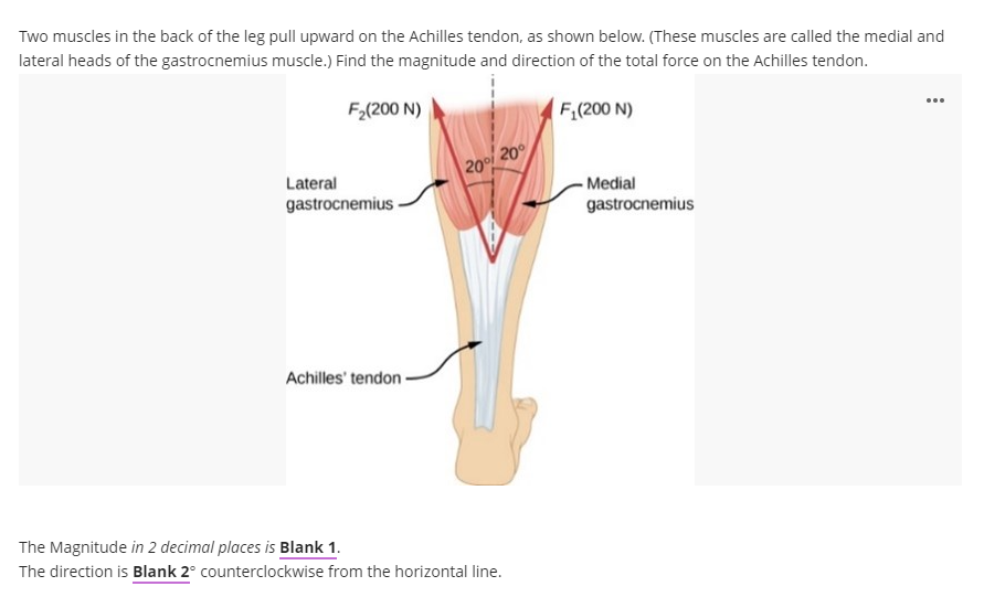 Two muscles in the back of the leg pull upward on the Achilles tendon, as shown below. (These muscles are called the medial and
lateral heads of the gastrocnemius muscle.) Find the magnitude and direction of the total force on the Achilles tendon.
F2(200 N)
F;(200 N)
...
200 20°
Lateral
- Medial
gastrocnemius -
gastrocnemius
Achilles' tendon -
The Magnitude in 2 decimal places is Blank 1.
The direction is Blank 2° counterclockwise from the horizontal line.
