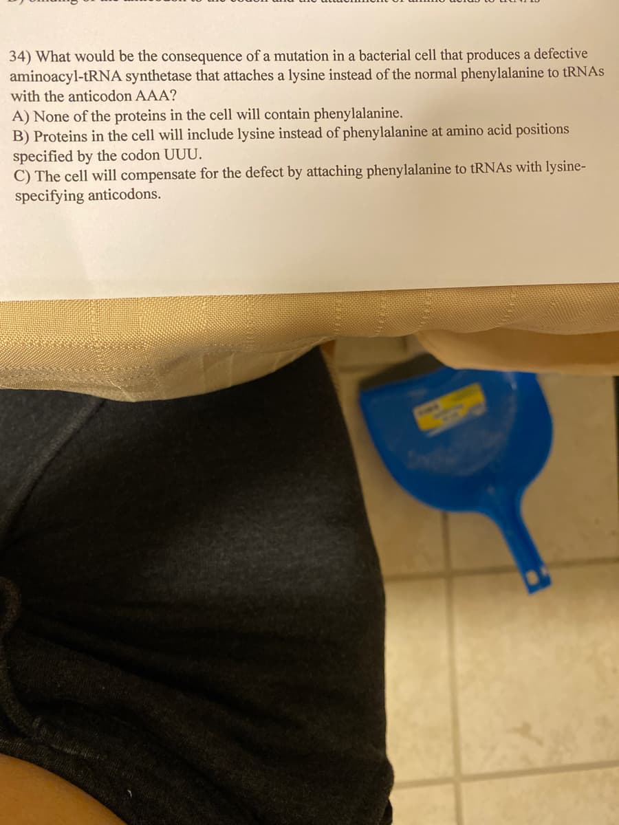 34) What would be the consequence of a mutation in a bacterial cell that produces a defective
aminoacyl-tRNA synthetase that attaches a lysine instead of the normal phenylalanine to tRNAs
with the anticodon AAA?
A) None of the proteins in the cell will contain phenylalanine.
B) Proteins in the cell will include lysine instead of phenylalanine at amino acid positions
specified by the codon UUU.
C) The cell will compensate for the defect by attaching phenylalanine to tRNAs with lysine-
specifying anticodons.
