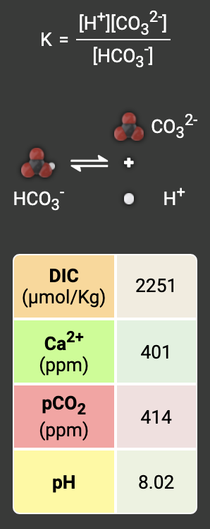[H*l[Co,21
K =
%3D
[HCO3]
Co32-
HCO3
H*
DIC
2251
(umol/Kg)
Ca2+
(ppm)
401
pC02
(ppm)
414
pH
8.02

