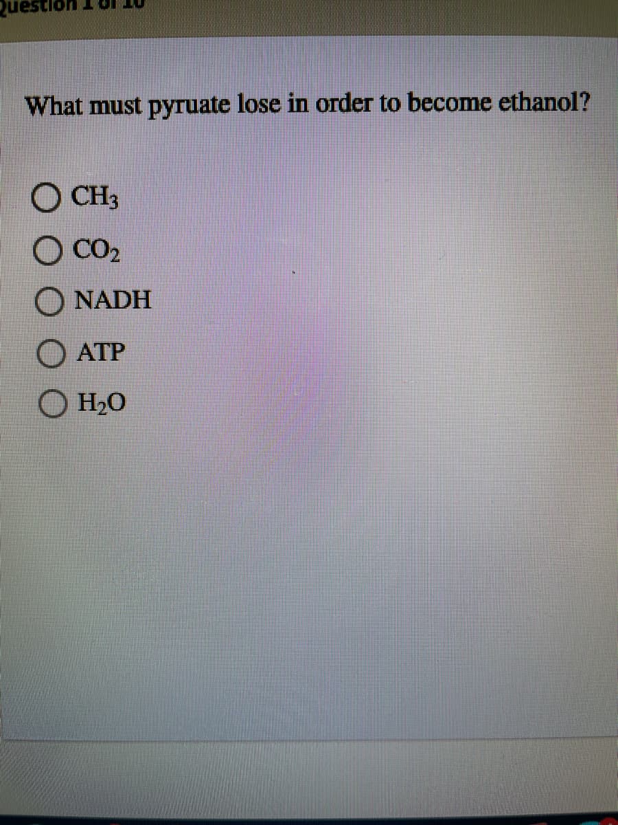Que
What must pyruate lose in order to become ethanol?
O CH3
O CO2
O NADH
O ATP
O H2O

