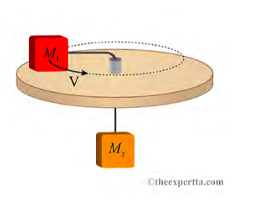 M.
M,
Otheexpertta.com
