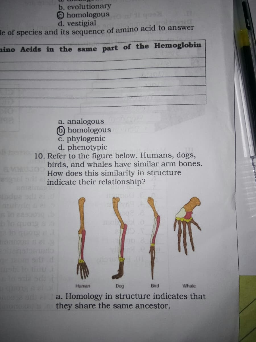 b. evolutionary
O homologous
d. vestigial
le of species and its sequence of amino acid to answer
nino Acids in the same part of the Hemoglobin
a. analogous
O homologous
c. phylogenic
d. phenotypic
10. Refer to the figure below. Humans, dogs,
birds, and whales have similar arm bones.
How does this similarity in structure
indicate their relationship?
bdu
Co tonb o g
onos
Human
Dog
Bird
Whale
a. Homology in structure indicates that
they share the same ancestor.
rcove
