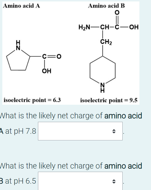 Amino acid A
Amino acid B
H2N-CH-Ĉ-OH
ČH2
-C=0
N.
isoelectric point = 6.3
isoelectric point = 9.5
What is the likely net charge of amino acid
A at pH 7.8
What is the likely net charge of amino acid
B at pH 6.5
ZI
IZ
