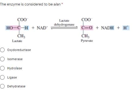 The enzyme is considered to be alan *
ÇOO
ÇOO
Lactate
dehydrogenase
HO-C-H+ NAD
C=0 + NADH + H
CH:
Pyruvate
Lactate
O Oxydoreductase
O Isomerase
O Hydrolase
O Ligase
O Dehydratase
