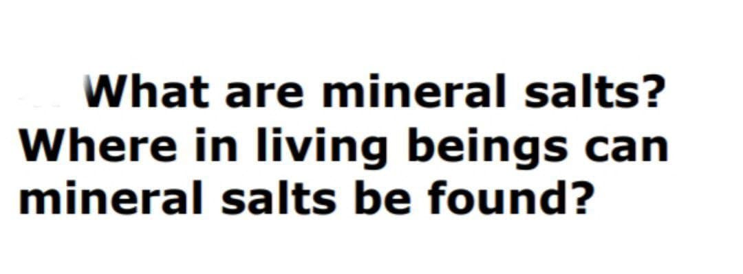 What are mineral salts?
Where in living beings can
mineral salts be found?

