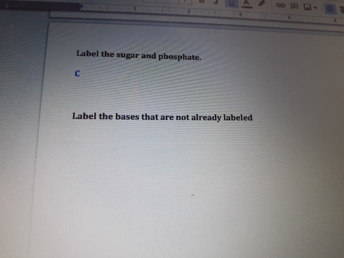 GD
Label the sugar and phosphate.
Label the bases that are not already labeled
