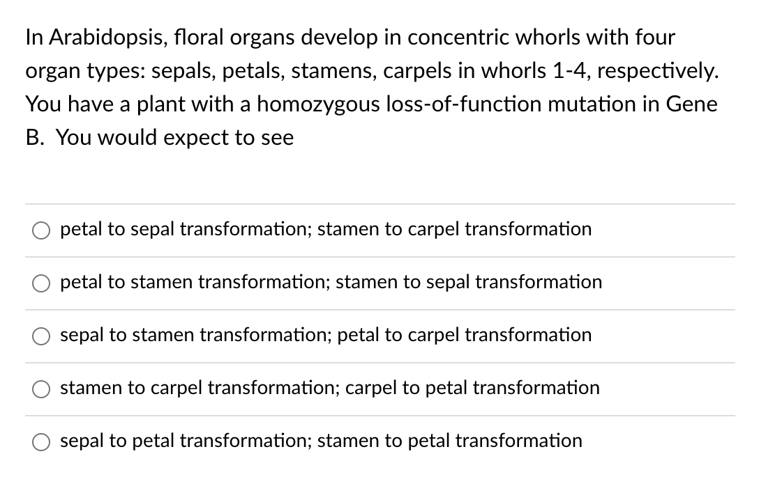 In Arabidopsis, floral organs develop in concentric whorls with four
organ types: sepals, petals, stamens, carpels in whorls 1-4, respectively.
You have a plant with a homozygous loss-of-function mutation in Gene
B. You would expect to see
petal to sepal transformation; stamen to carpel transformation
petal to stamen transformation; stamen to sepal transformation
sepal to stamen transformation; petal to carpel transformation
stamen to carpel transformation; carpel to petal transformation
sepal to petal transformation; stamen to petal transformation
