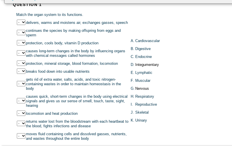 QUESTION I
Match the organ system to its functions.
delivers, warms and moistens air, exchanges gasses, speech
continues the species by making offspring from eggs and
'sperm
A. Cardiovascular
protection, cools body, vitamin D production
causes long-term changes in the body by influencing organs
with chemical messages called hormones
B. Digestive
C. Endocrine
protection, mineral storage, blood formation, locomotion
D. Integumentary
breaks food down into usable nutrients
E. Lymphatic
gets rid of extra water, salts, acids, and toxic nitrogen-
containing wastes in order to maintain homeostasis in the
body
F. Muscular
G. Nervous
causes quick, short-term changes in the body using electrical H. Respiratory
signals and gives us our sense of smell, touch, taste, sight,
hearing
I. Reproductive
locomotion and heat production
J. Skeletal
greturns water lost from the bloodstream with each heartbeat to K. Urinary
Jthe blood, fights infections and disease
moves fluid containing cells and dissolved gasses, nutrients,
Jand wastes throughout the entire body
