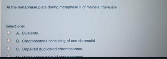 At the metaphase plate during metaphase II of meiosis, there are
Select one:
O A. Bivalents.
O B. Chromosomes consisting of one chromatid.
O C. Unpaired duplicated chromosomes.
Hemelegeue nairs of chromosomes
